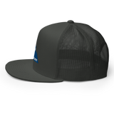 Backcountry Embroidered Mountain Mesh Snapback